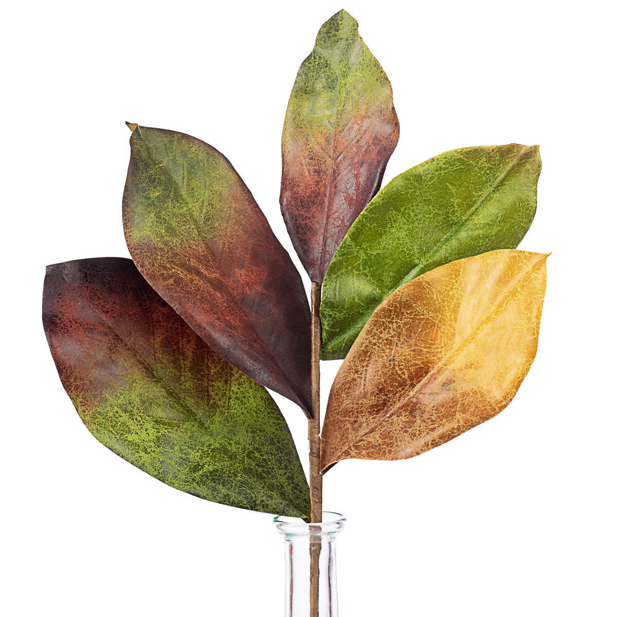 15" Fall Magnolia Leaf Pick Item Number: 2310136BG