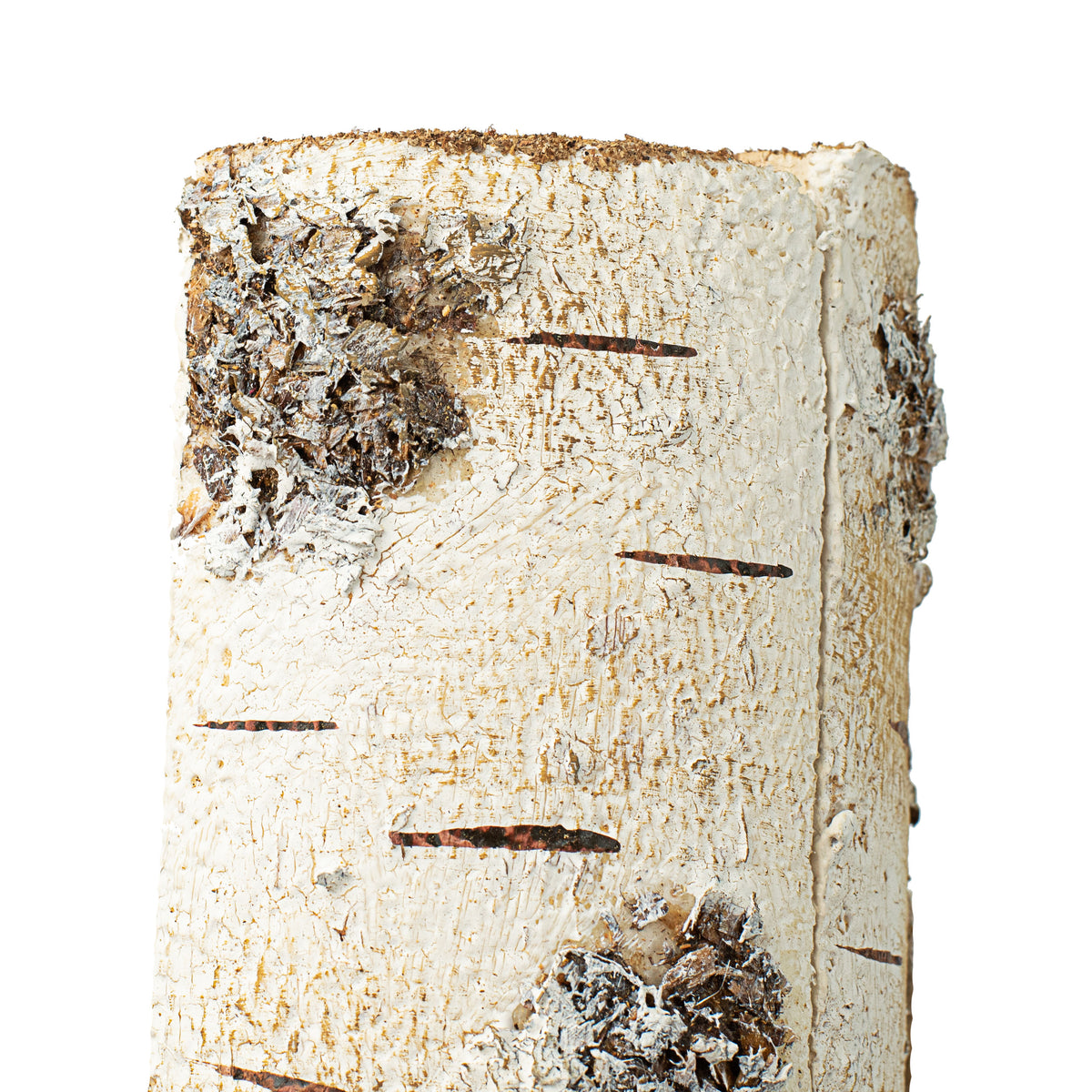 11.5" Faux Birch Logs detail photo 4
