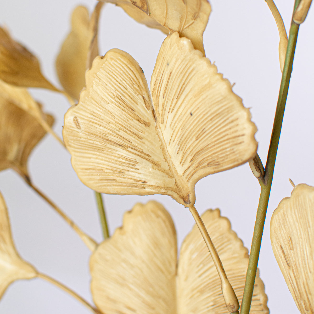 24" Faux Dried Ginkgo Leaf Spray: Beige Lifestyle Photo