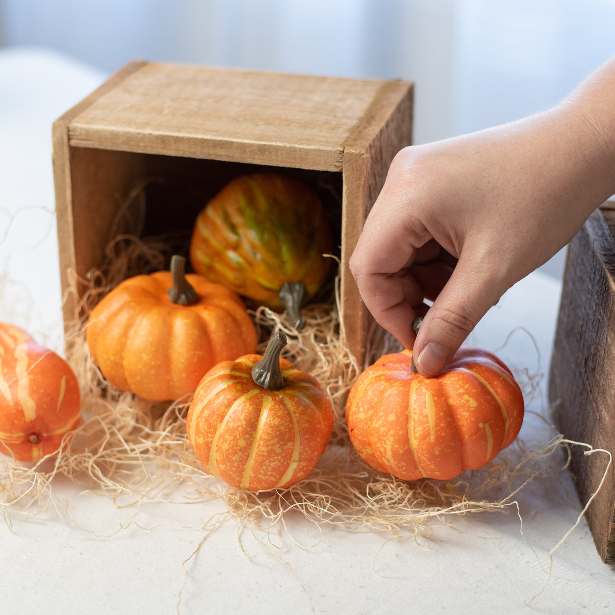 Faux Pumpkin Assortment: Orange (Set of 5) detail photo 3