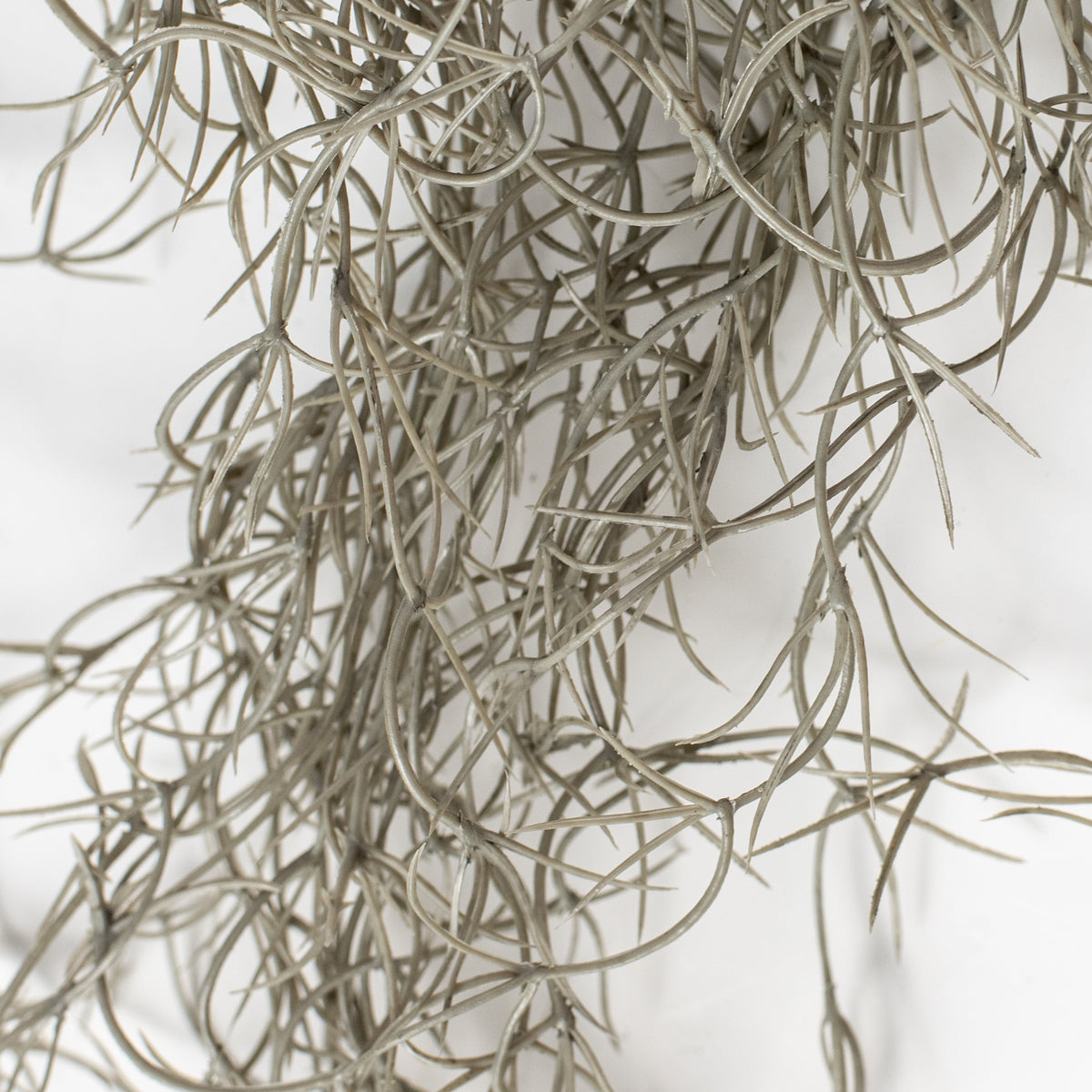 51" Faux Spanish Moss Hanging Spray: Grey Lifestyle Photo