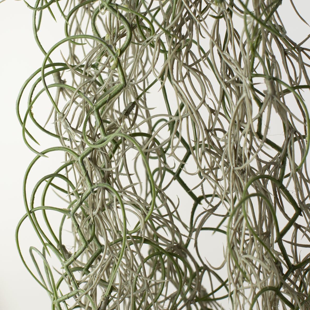 51" Faux Spanish Moss Hanging Spray: Grey detail photo 4