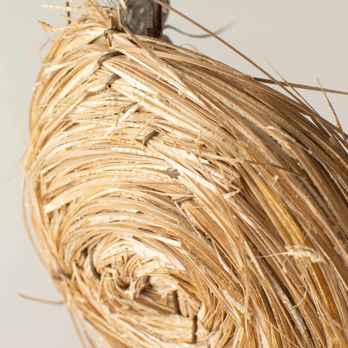 4" Feathered Bird Nest detail photo 4