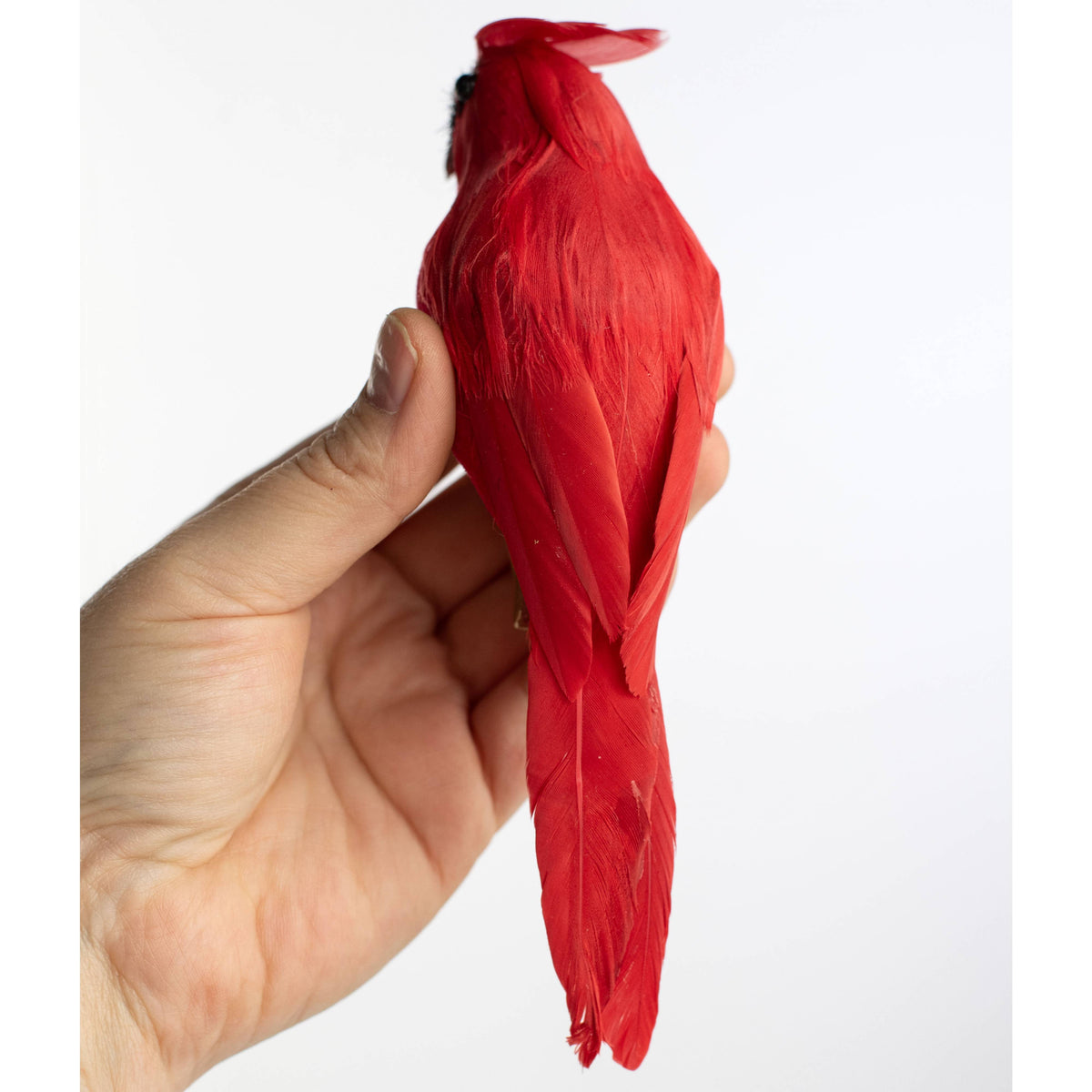 7" Feathered Cardinal with Clip Ornament detail photo 4