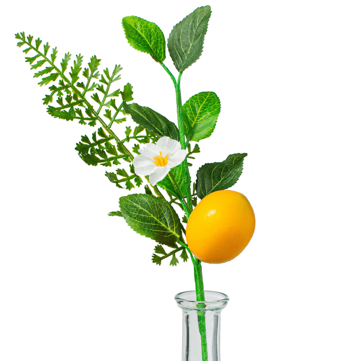 10" Fern, Greenery, Lemon Pick Item Number: EC8254