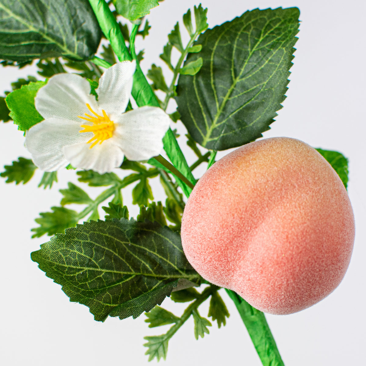 10" Fern, Greenery, Peach Pick Lifestyle Photo