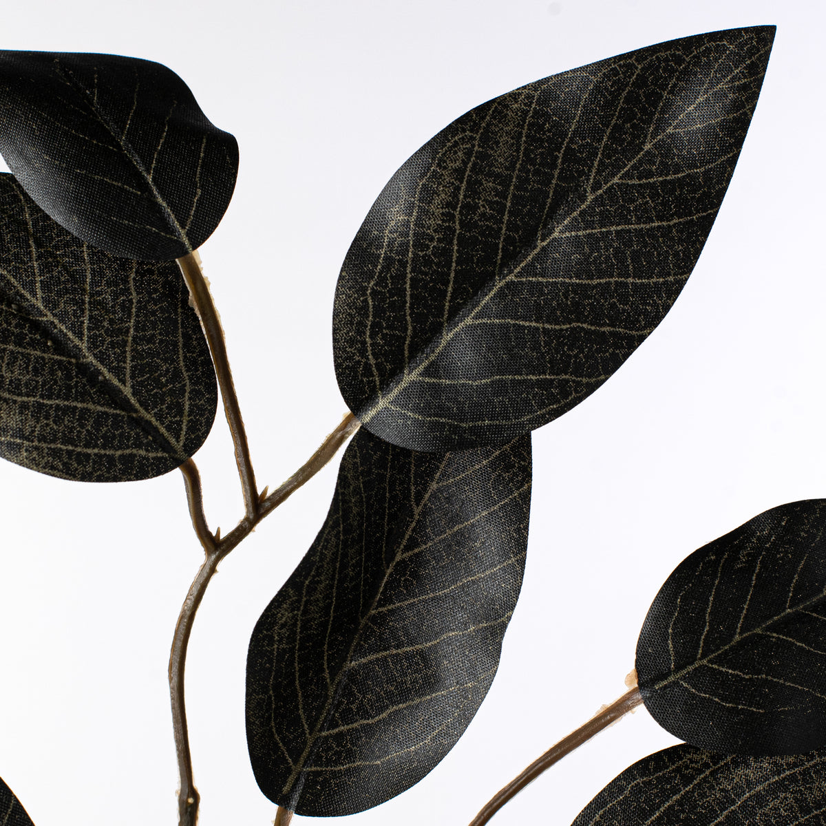 23" Ficus Leaf Spray: Black (12) Lifestyle Photo