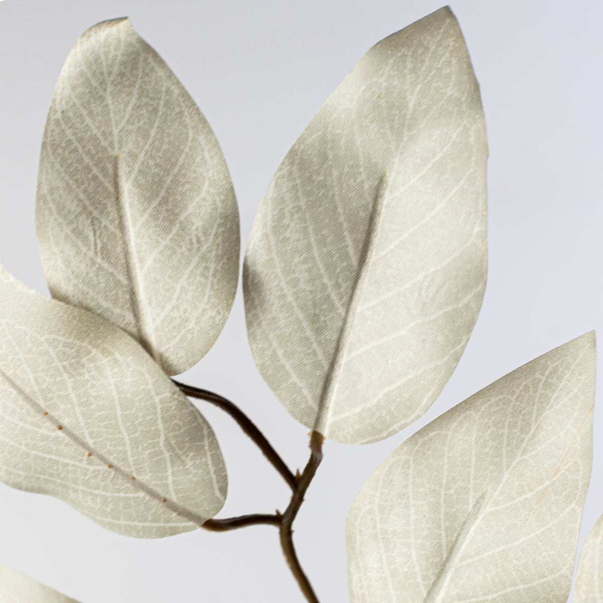 23" Ficus Leaf Spray: Grey (12) Lifestyle Photo