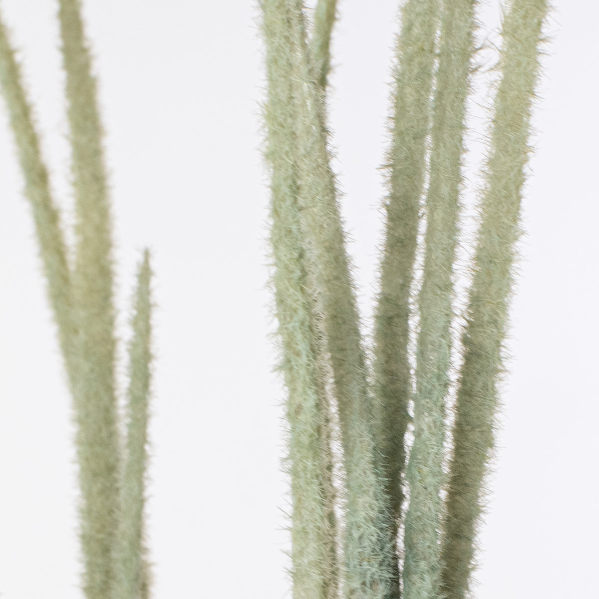 27" Flocked Grass Bush: Sage Green Lifestyle Photo
