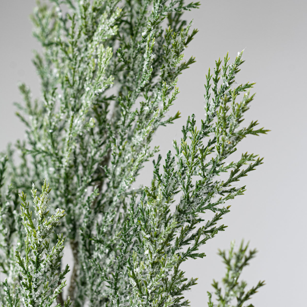 26" Frosted Cedar Spray Lifestyle Photo