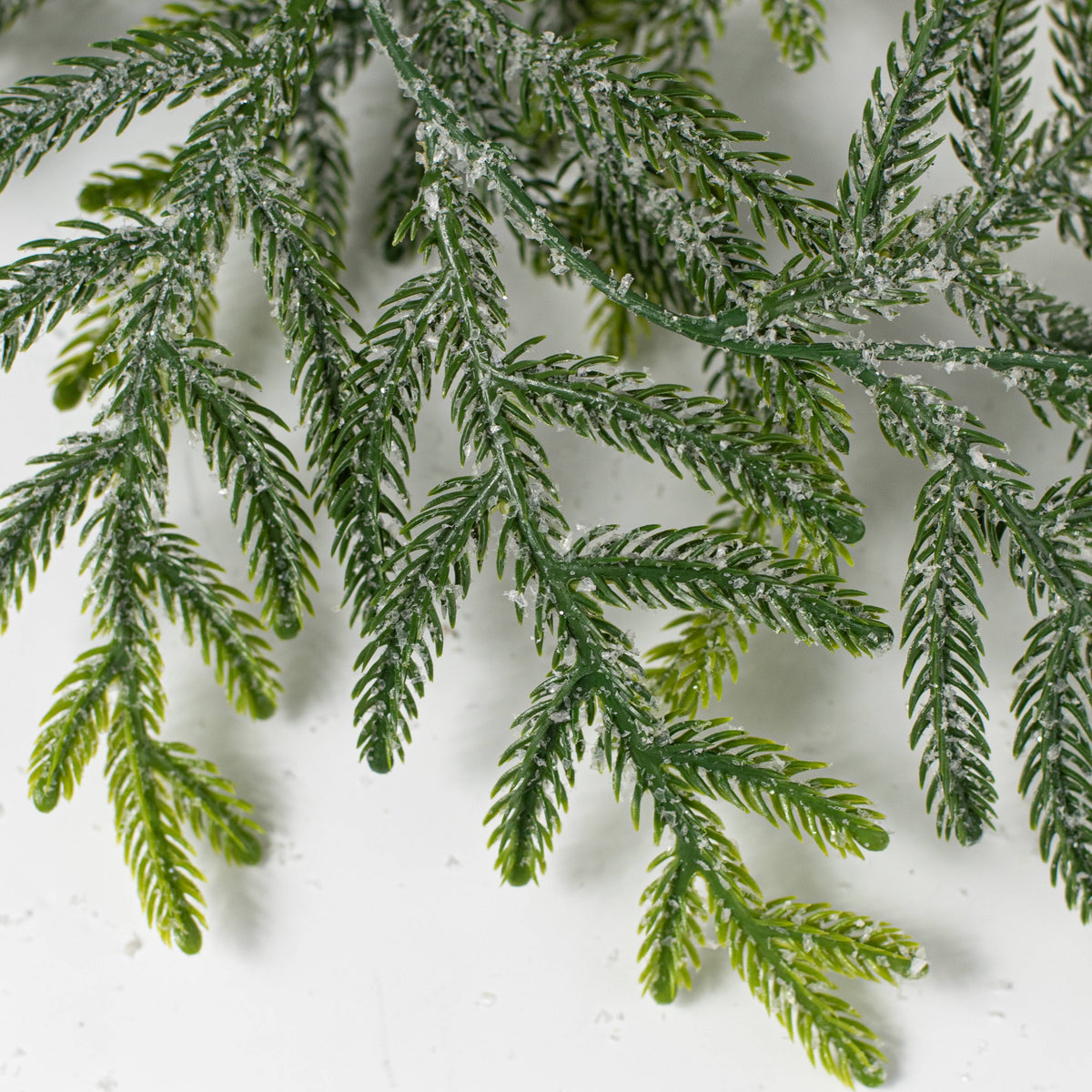 6' Frosted Value Northfolk Pine Garland detail photo 3
