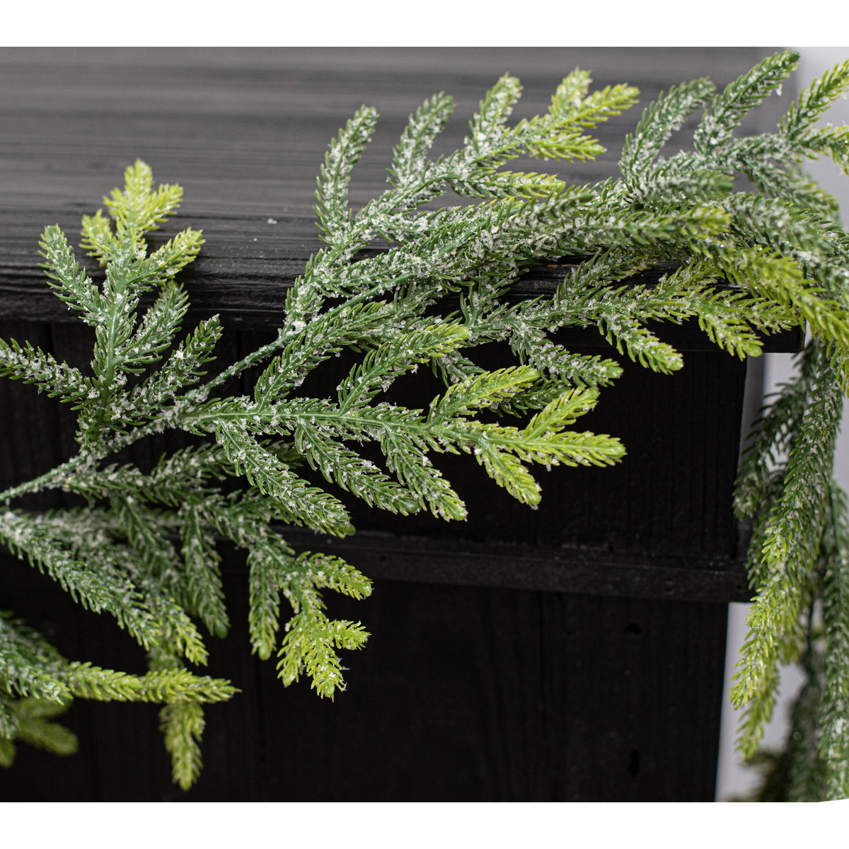 6' Frosted Value Northfolk Pine Garland detail photo 4