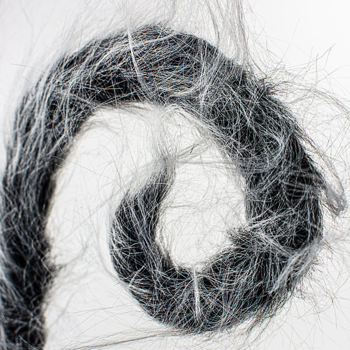 30" Furry Spiral Curly Spray: Black & White Lifestyle Photo