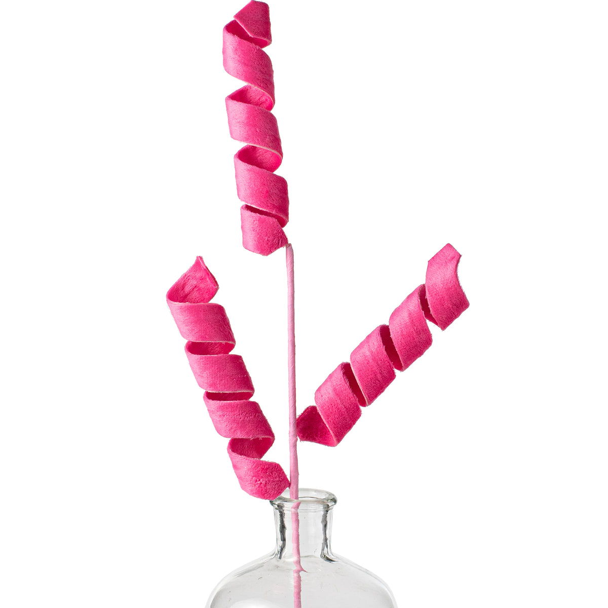24" Fuzzy Curly Spray: Fuchsia Pink Item Number: 63389BT