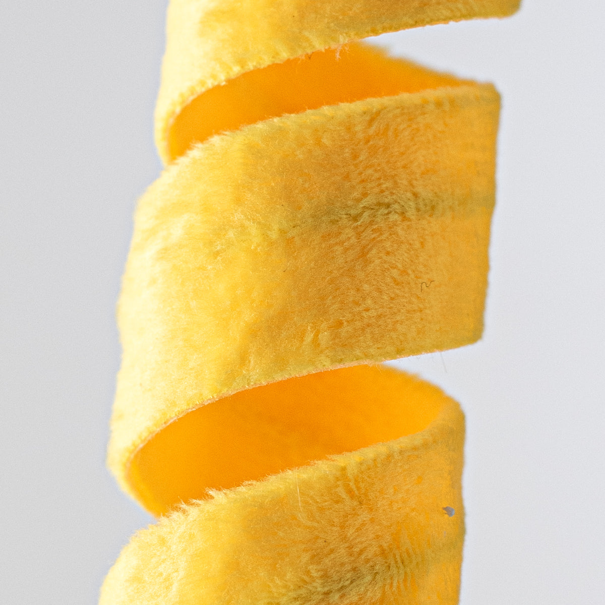24" Fuzzy Curly Spray: Yellow Lifestyle Photo