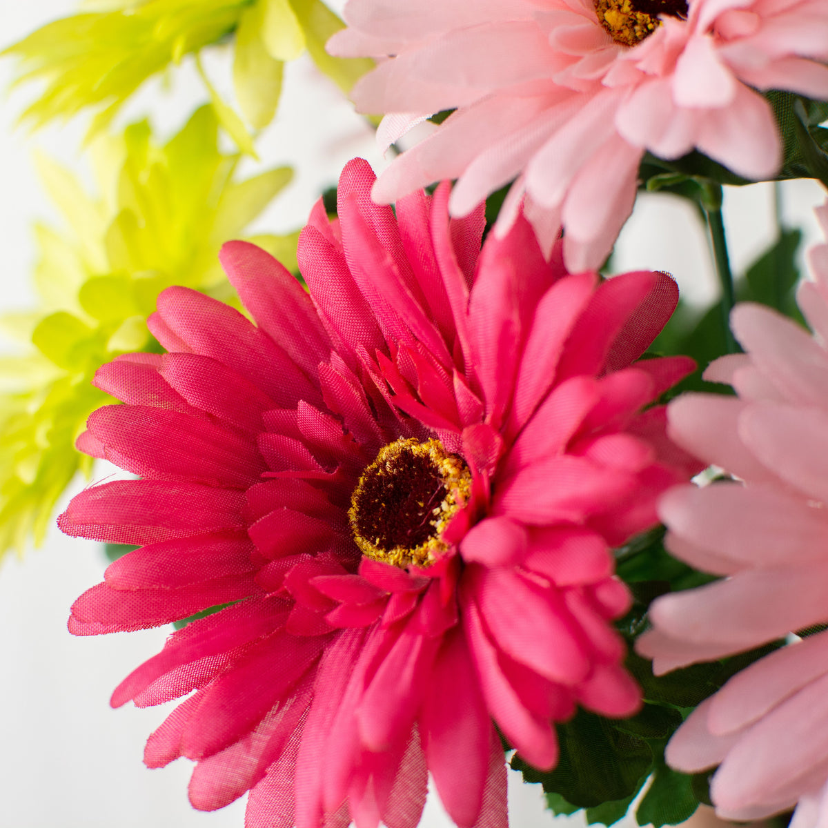 18" Gerbera Daisy Bush: Hot Pink & Lime Lifestyle Photo