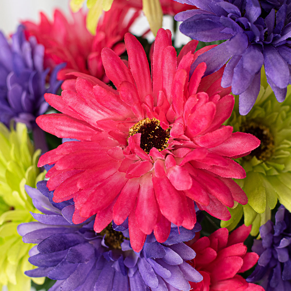 18" Gerbera Daisy Bush: Purple, Fuchsia, Lime Green (12 Stem) Lifestyle Photo