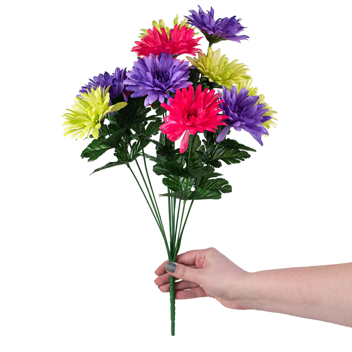 18" Gerbera Daisy Bush: Purple, Fuchsia, Lime Green (12 Stem) detail photo 3