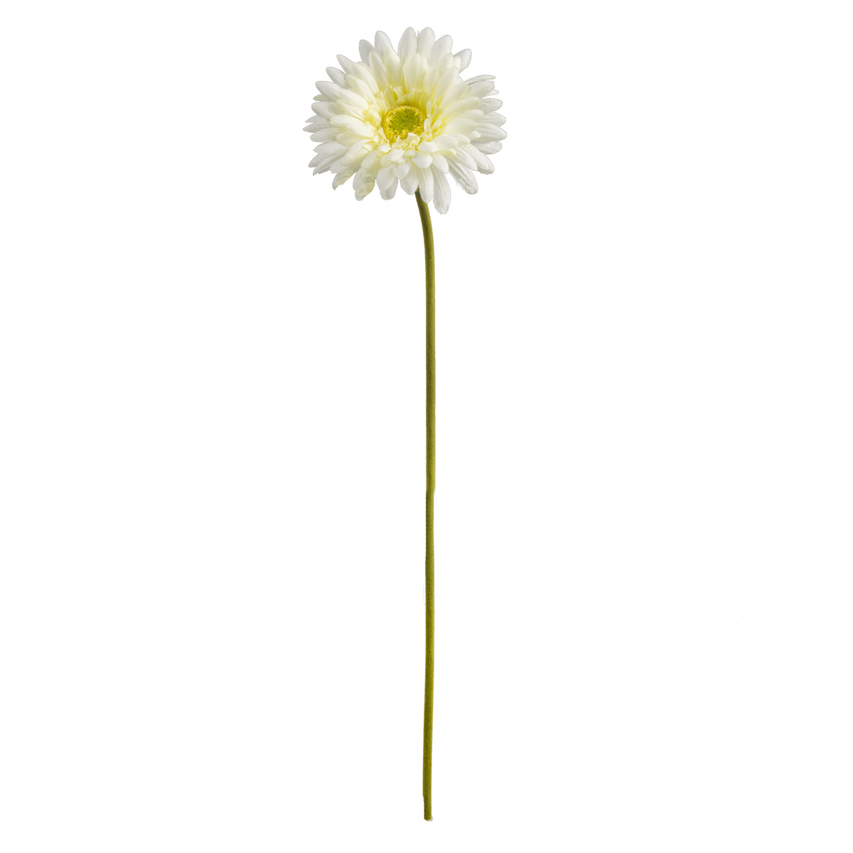 18" Gerbera Daisy Stem: Cream detail photo 5