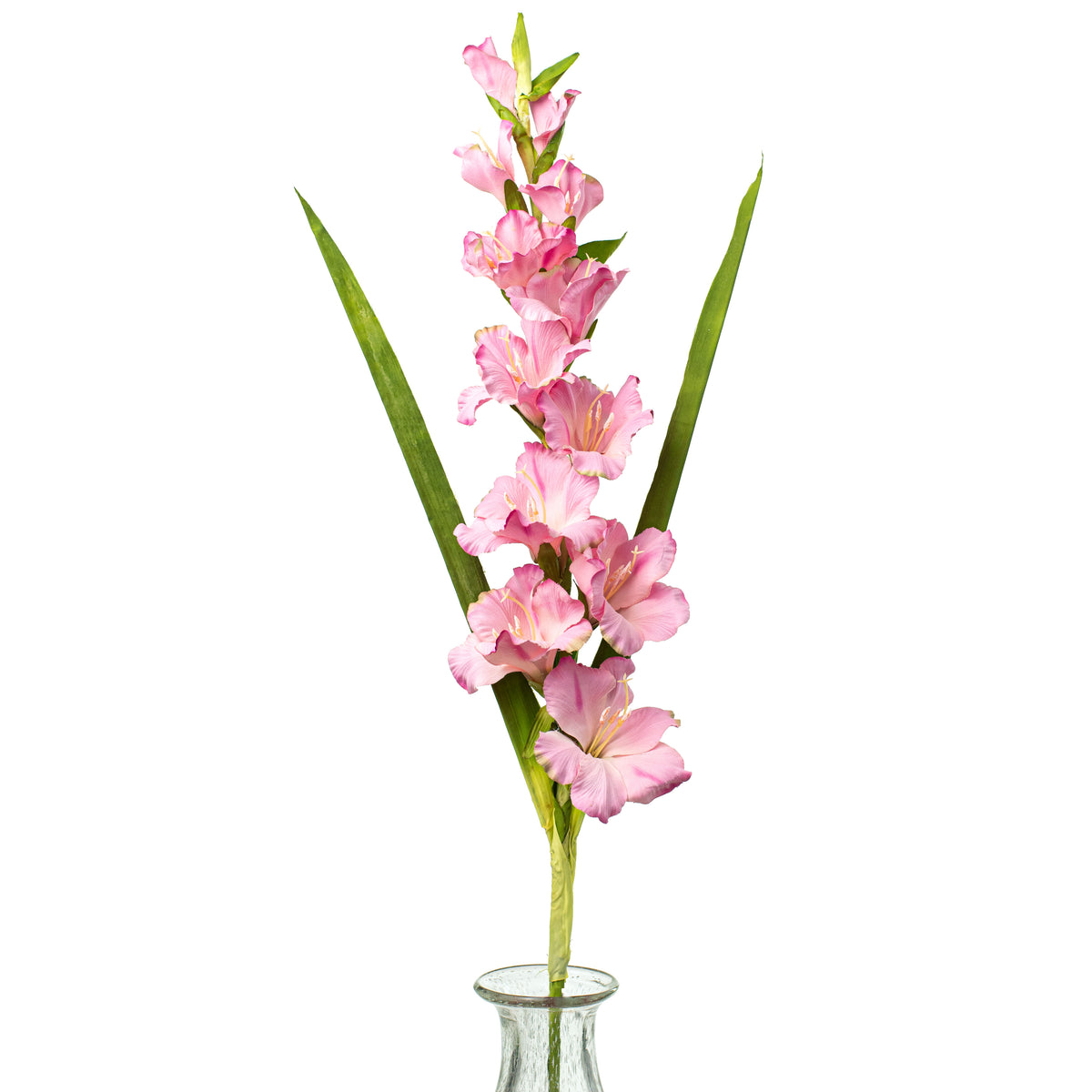 36" Gladiola Stem: Pink Item Number: 277937