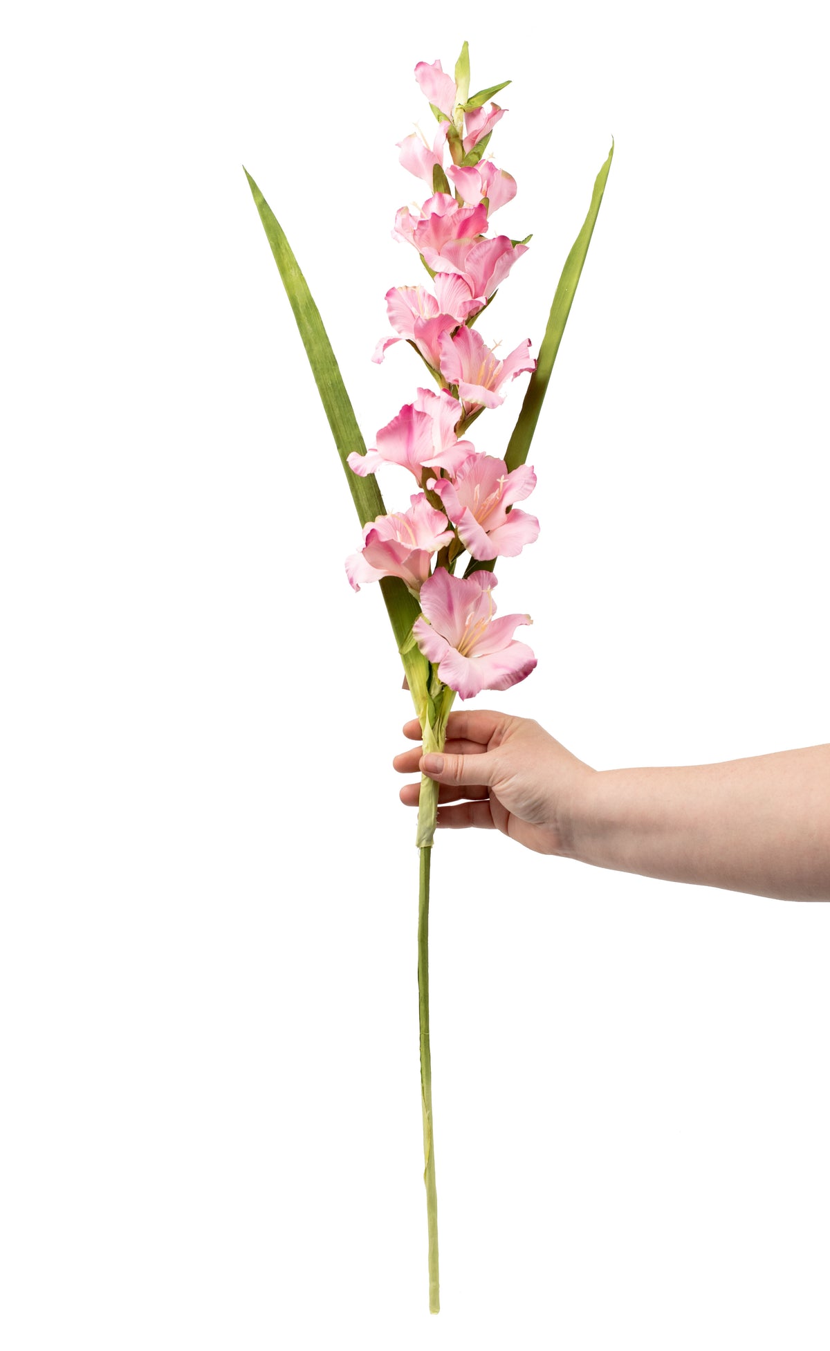 36" Gladiola Stem: Pink detail photo 3