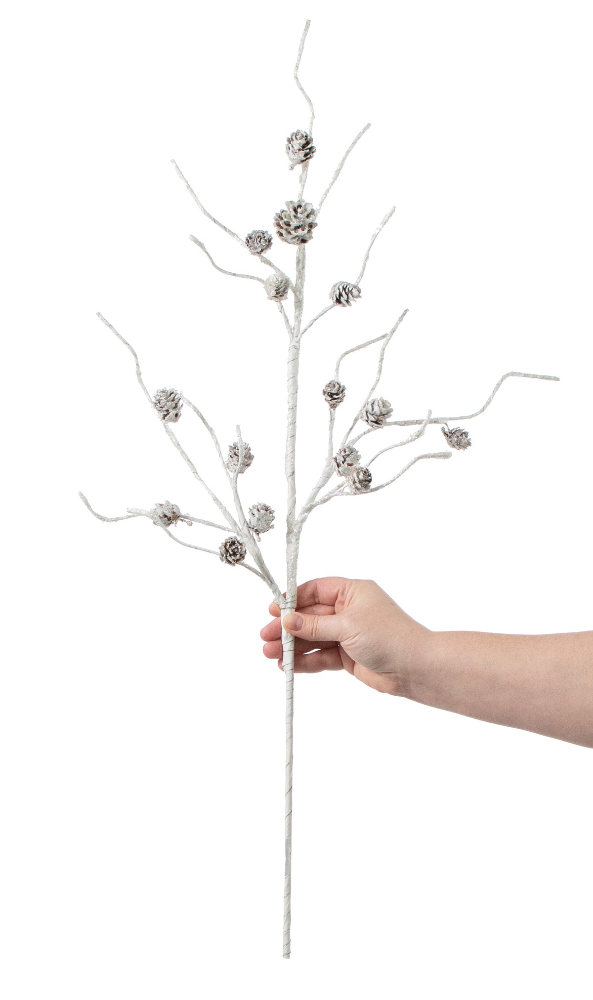 31" Glittered Mini Pinecone Birch Spray: White detail photo 3