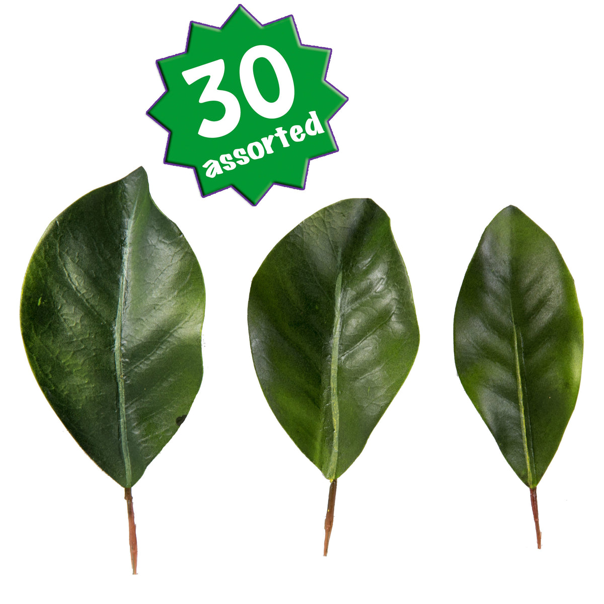 5"- 6" Green Magnolia Leaves (Bag of 30) Item Number: 2330043GR