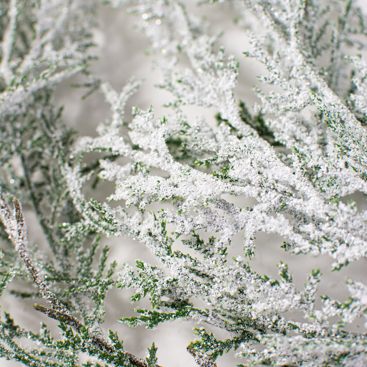 44" Hanging Cedar Snow Spray Lifestyle Photo