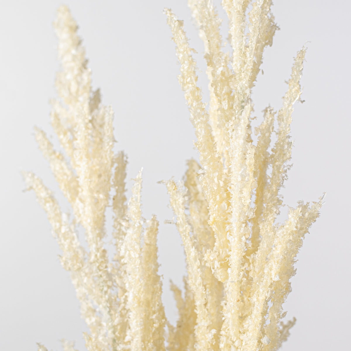 28" Heather Spray: Cream Lifestyle Photo
