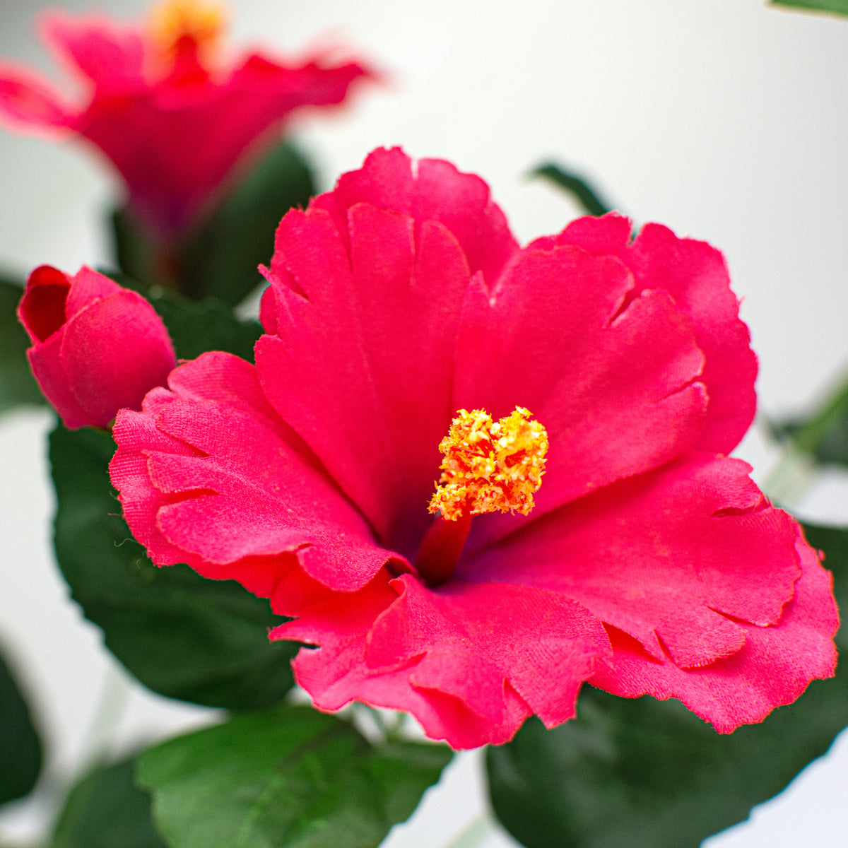 28" Hibiscus Spray: Fuchsia Pink Lifestyle Photo