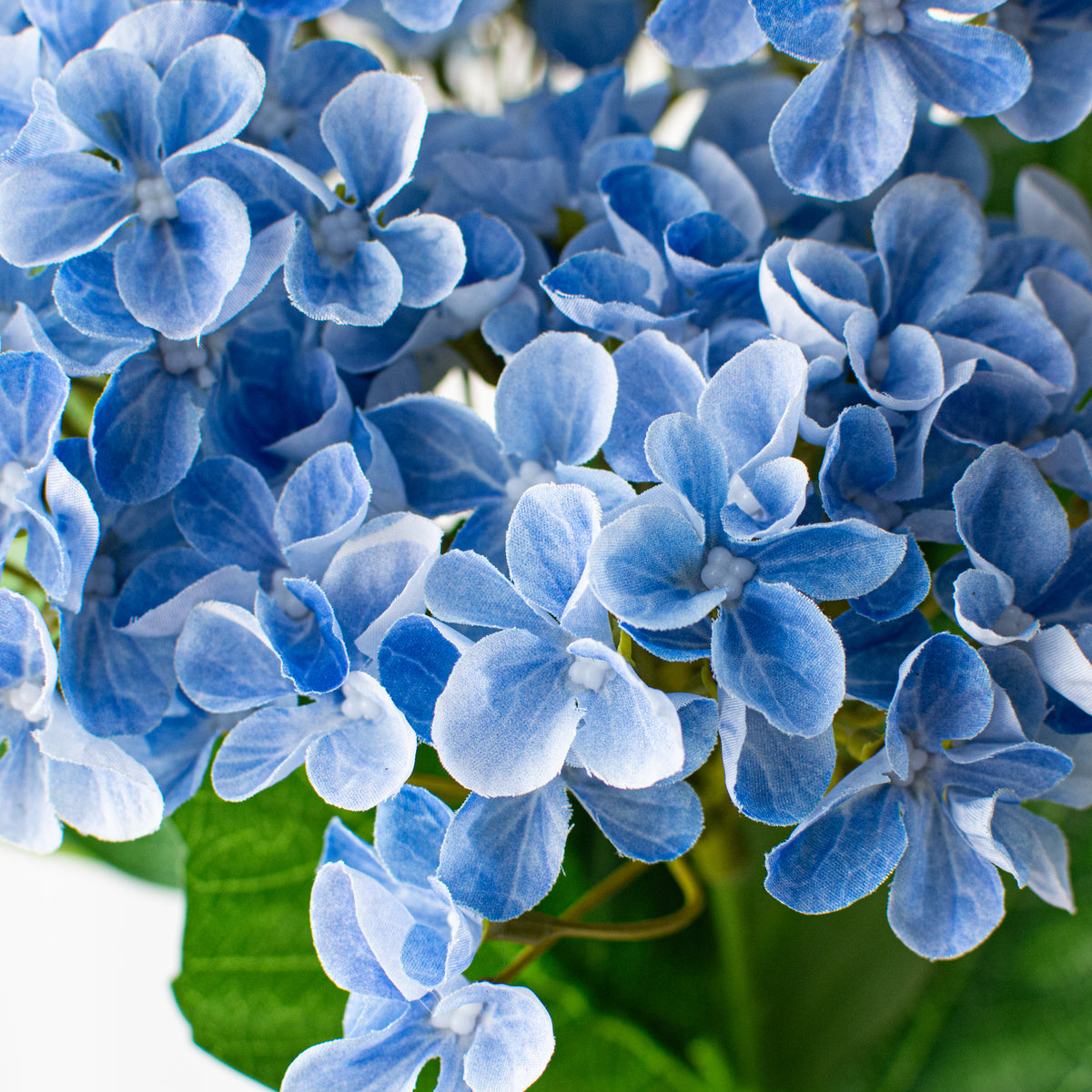 23" Hydrangea Bush: Blue Lifestyle Photo
