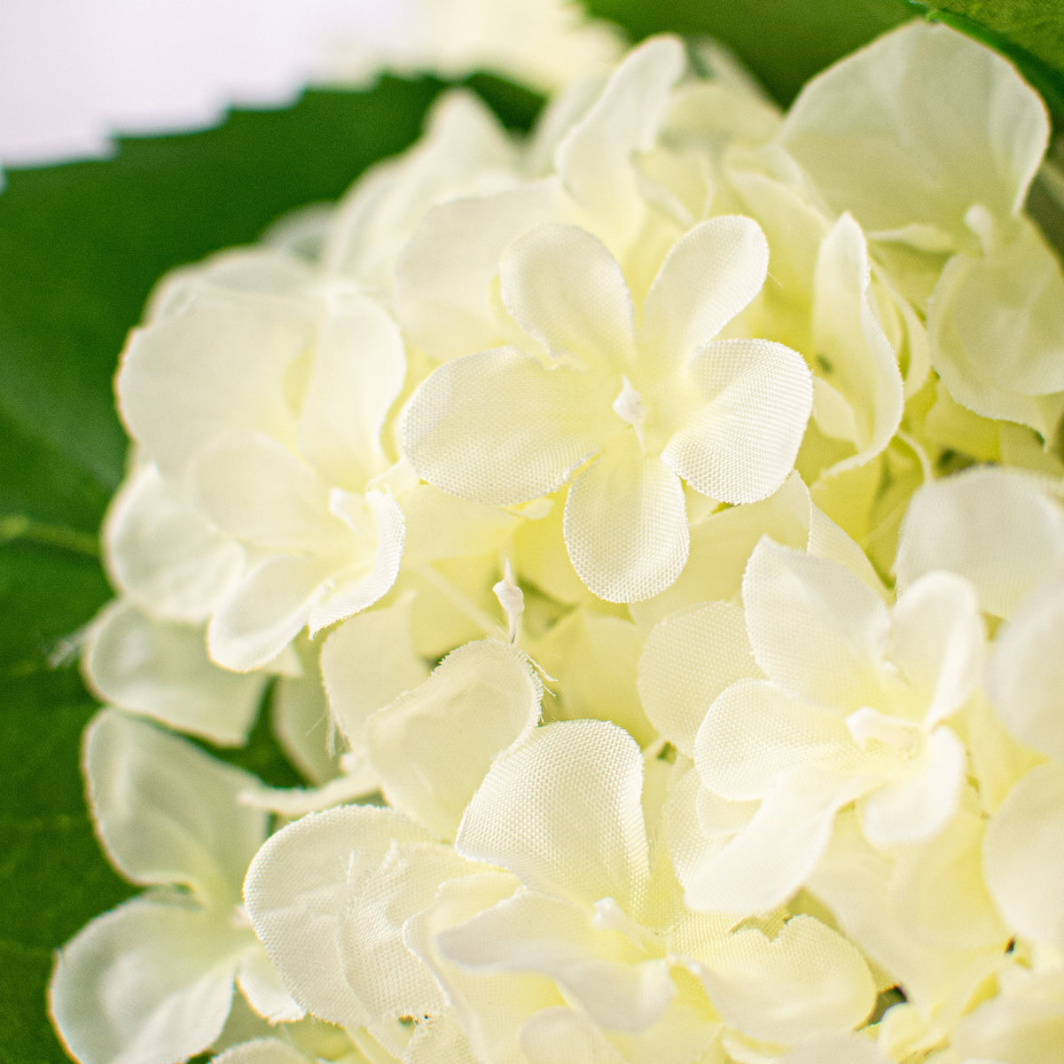 19" Hydrangea Bush: Cream (5) Lifestyle Photo