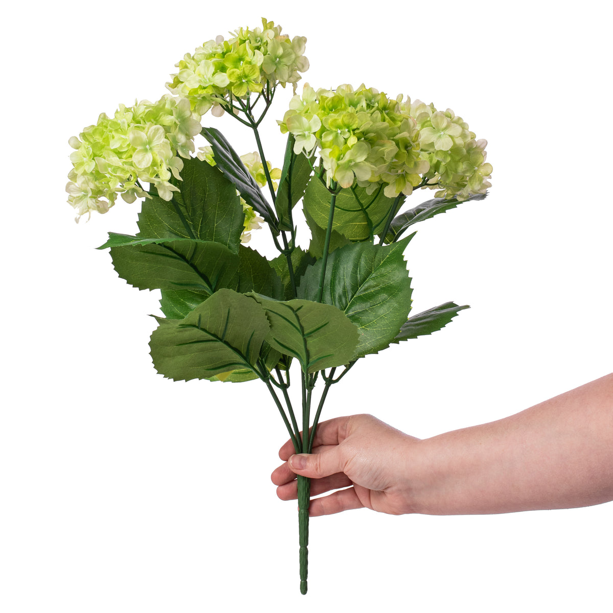 19" Hydrangea Bush: Green (5) Lifestyle Photo