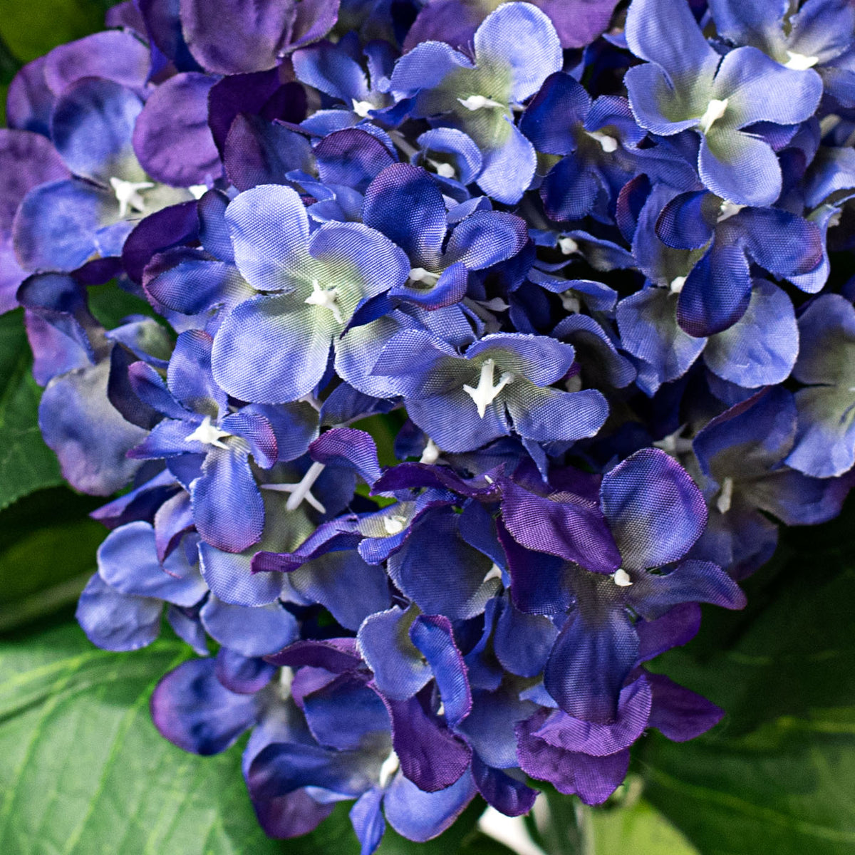 19" Hydrangea Bush: Purple (5) Lifestyle Photo