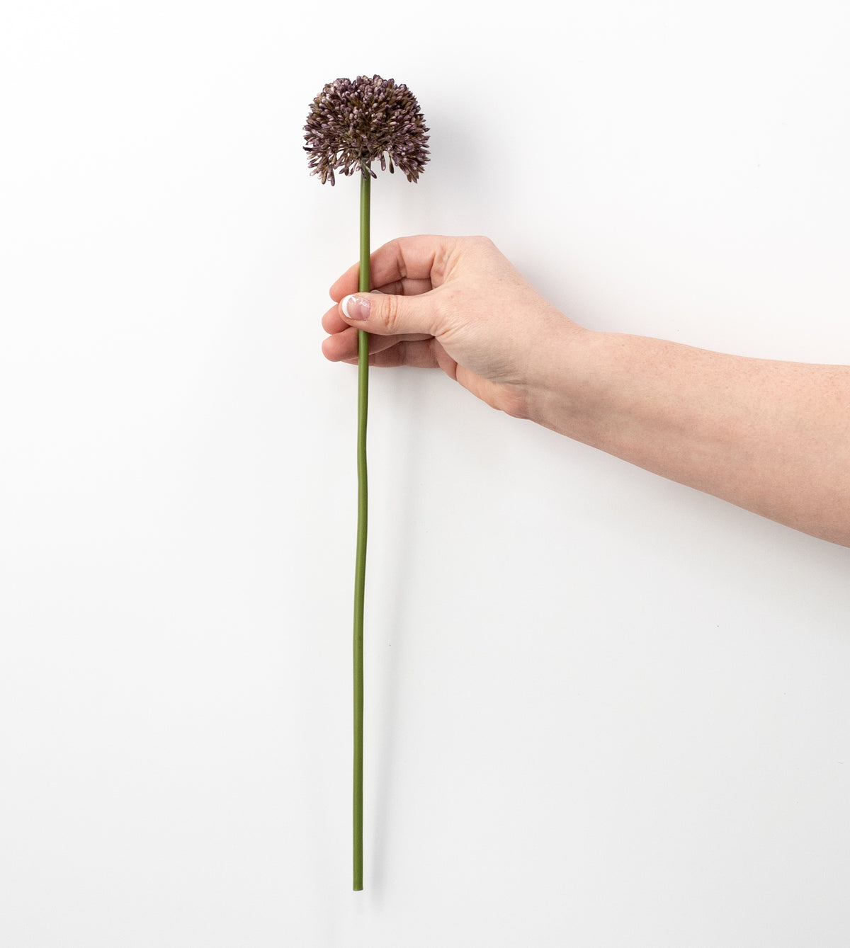 17" Allium Stem: Dark Purple