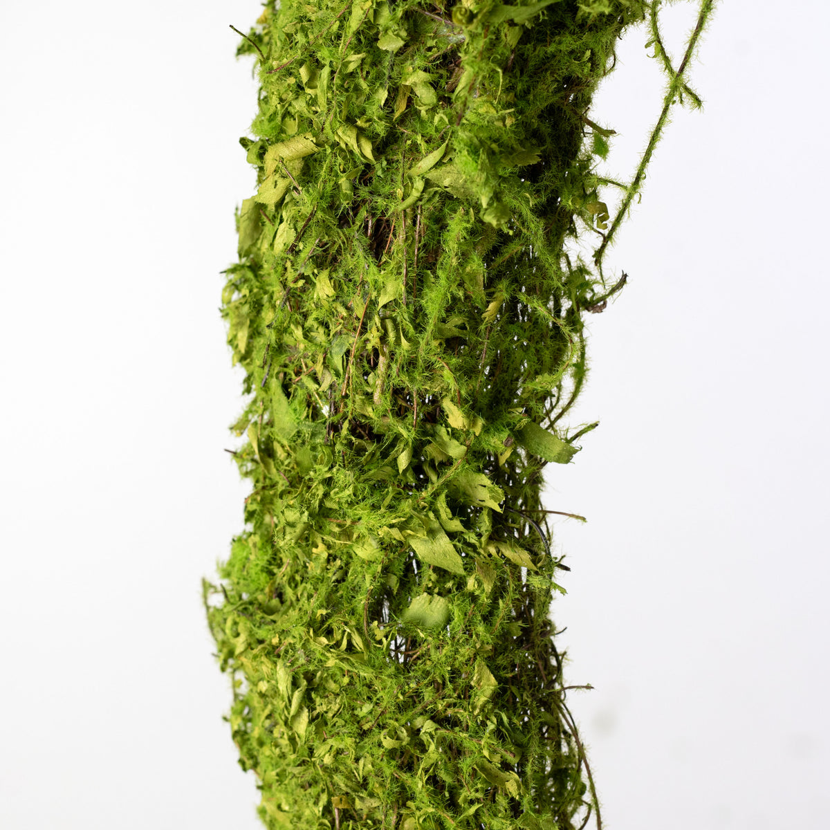 19" Green Moss Vine Wreath: Oval