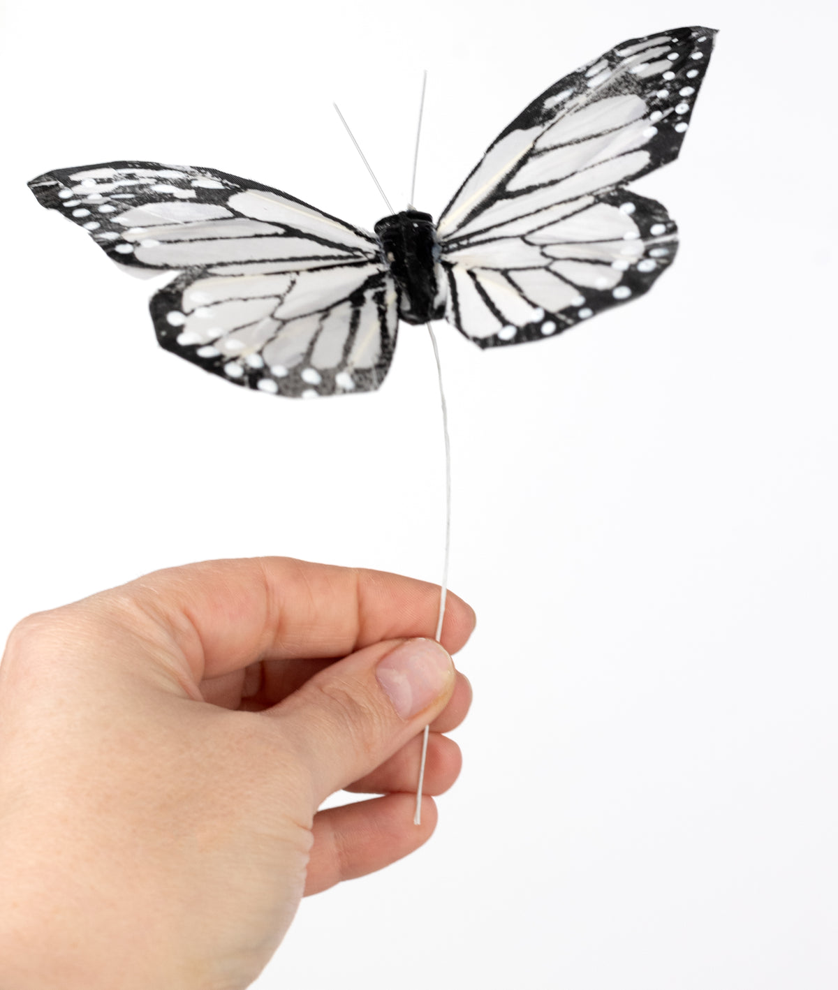 5" Feather Butterfly Picks: Black & White Monarchs (Box of 12)