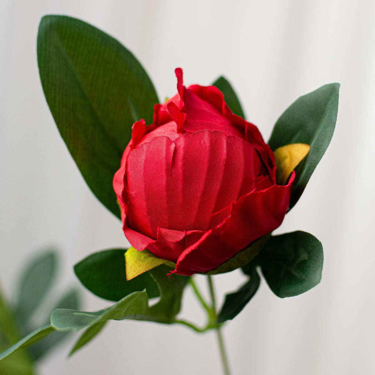 20" Peony Bush: Red (11 Stem)