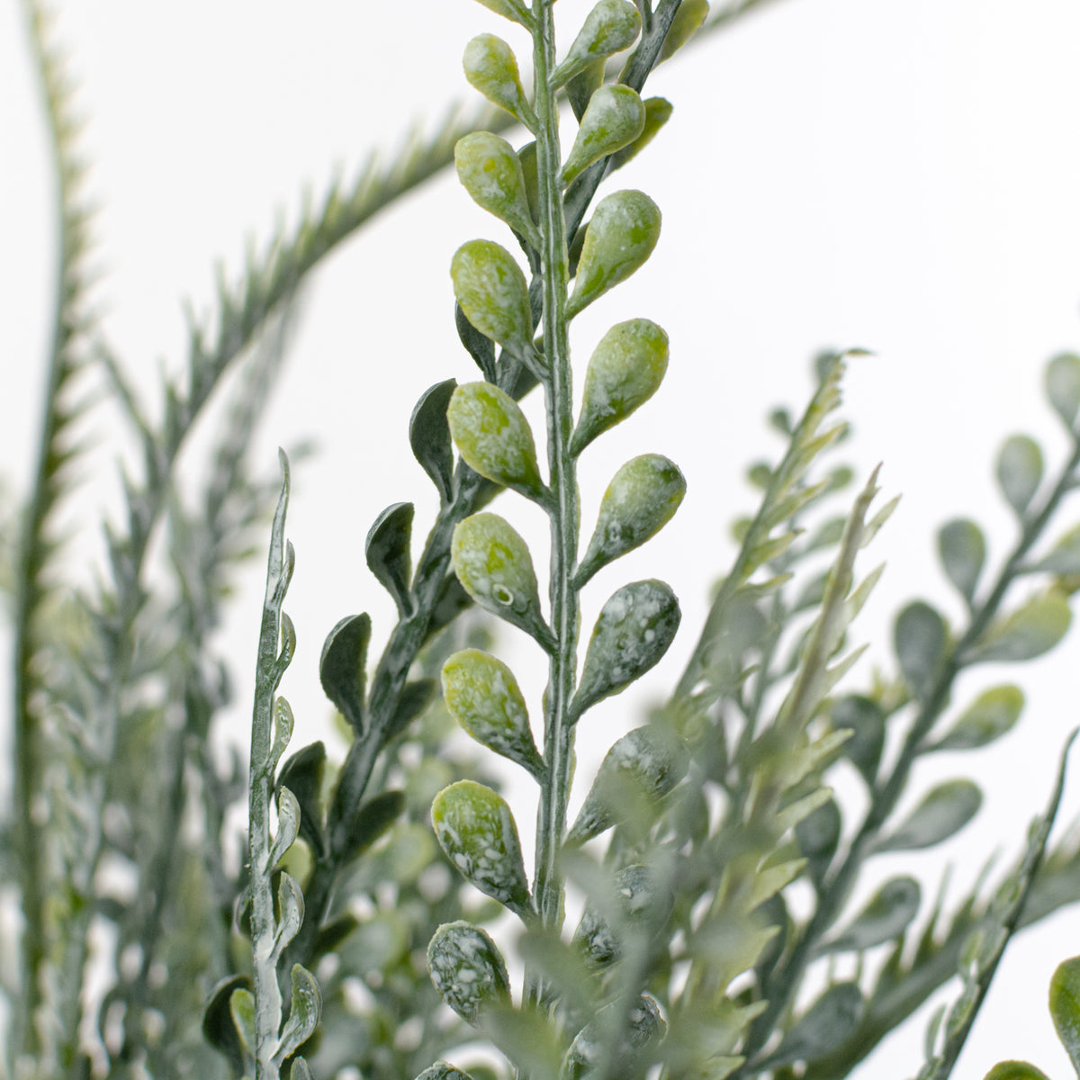 17" Button Sword Fern Bush: White Wash Green