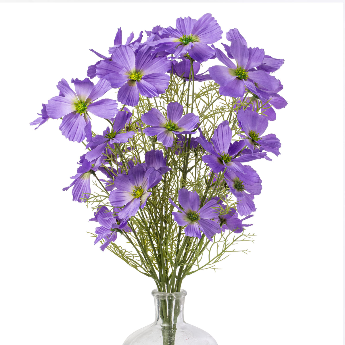 20" Garden Cosmos Bush: Lavender Purple