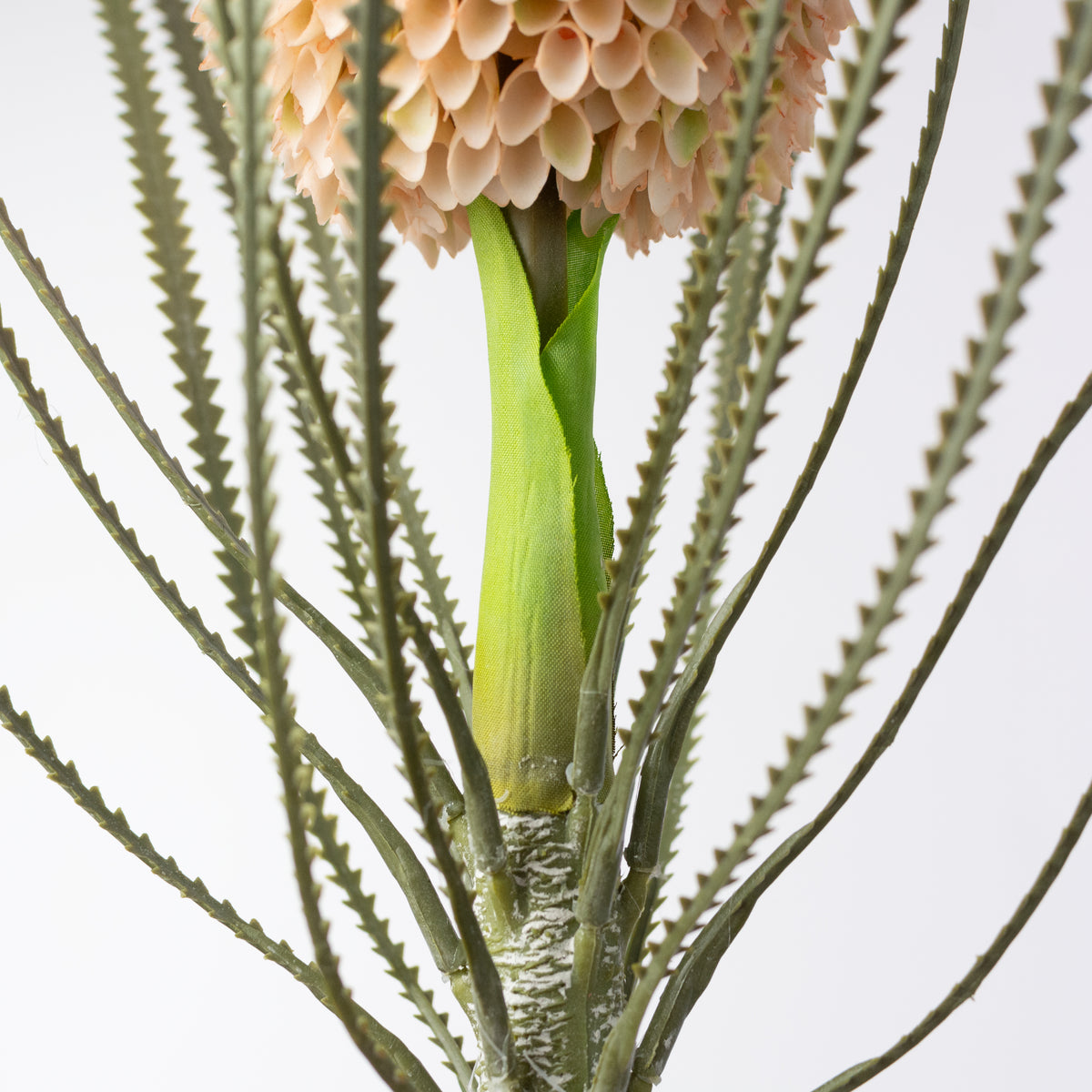29" Banksia Protea Stem: Cream Peach