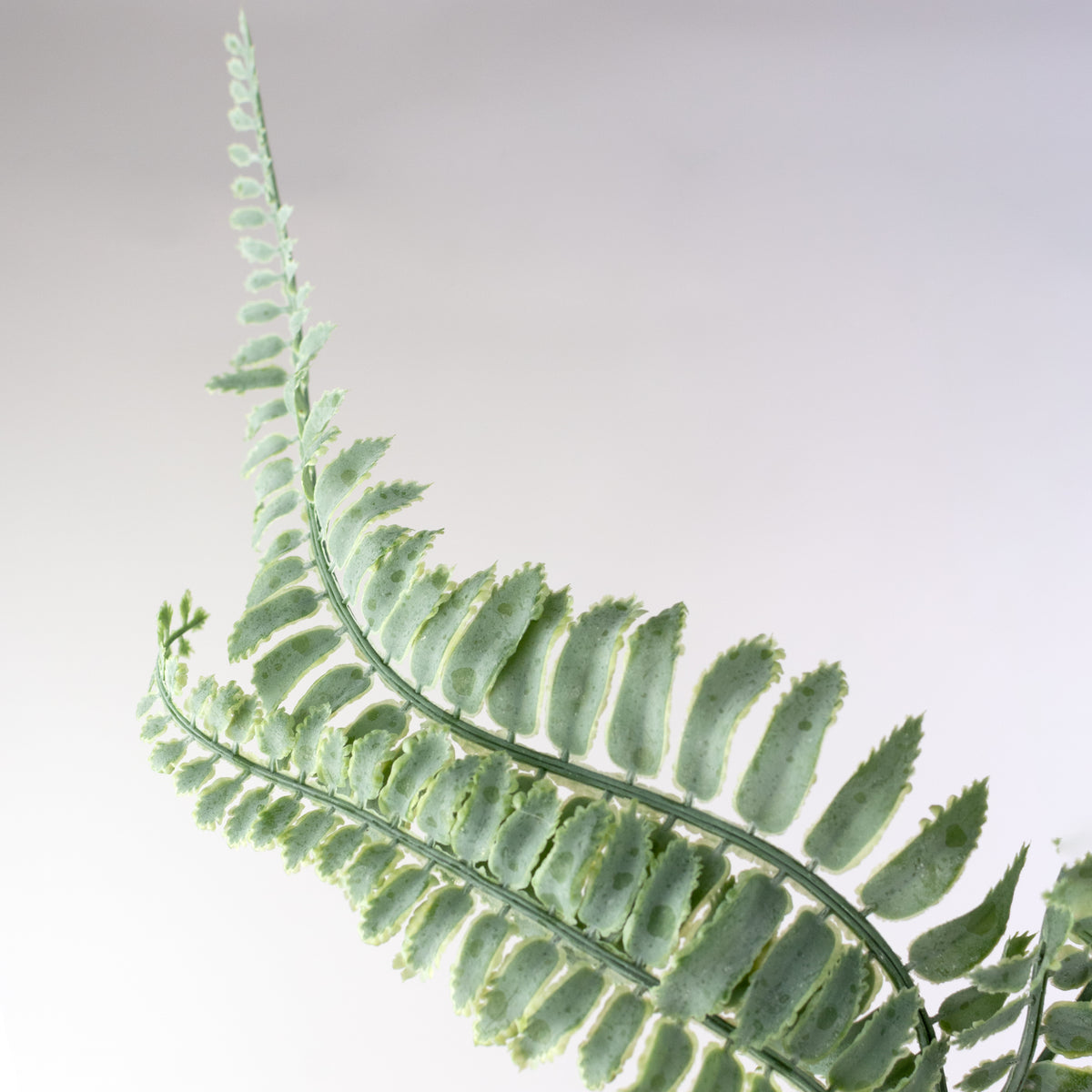45" Hanging Fern Branch: Dusty Green