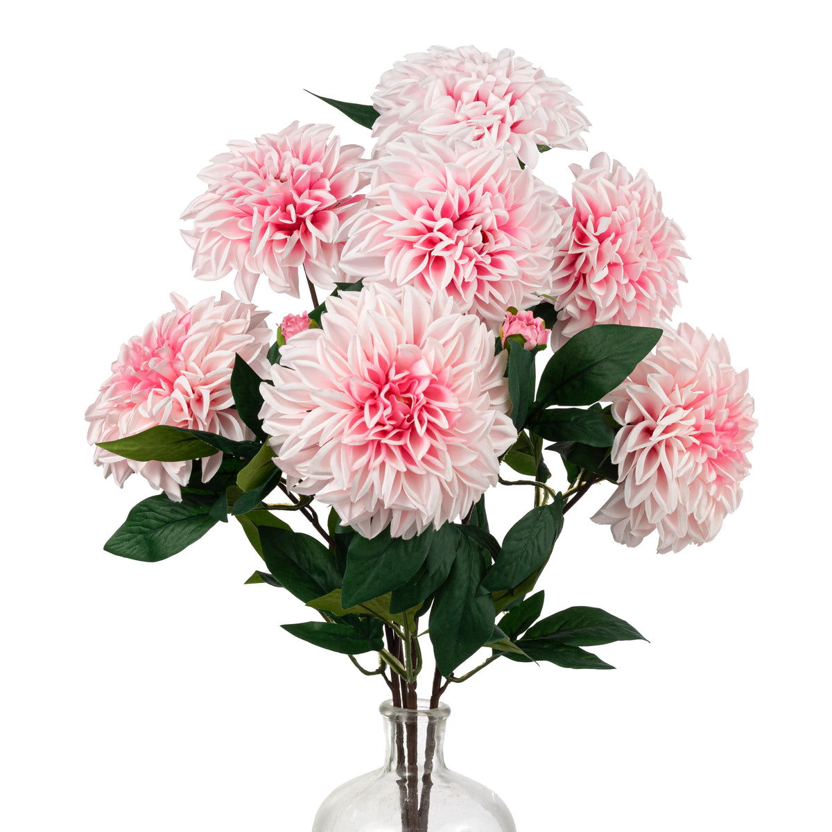 23" Dahlia Bush: Pink (10 Stem)