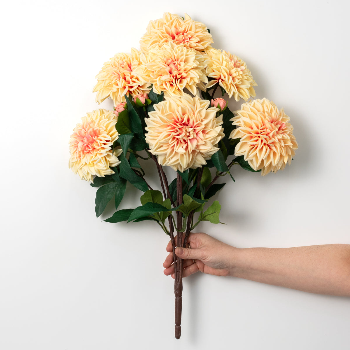 23" Dahlia Bush: Peach (10 Stem)