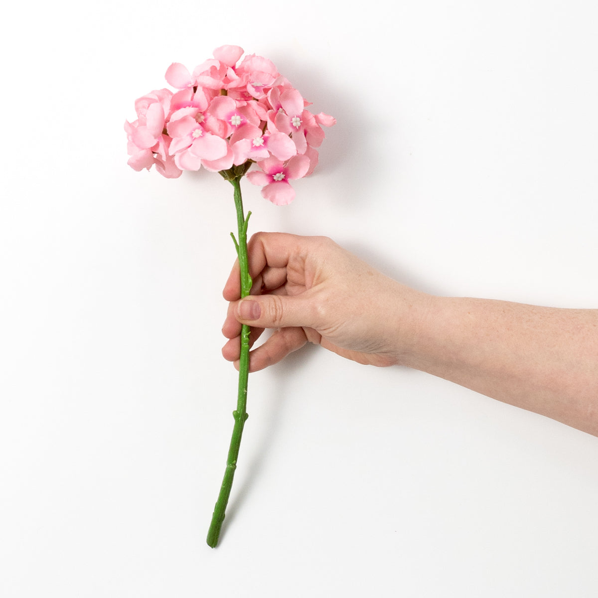 5" x 13" English Hydrangea Stem: Pink
