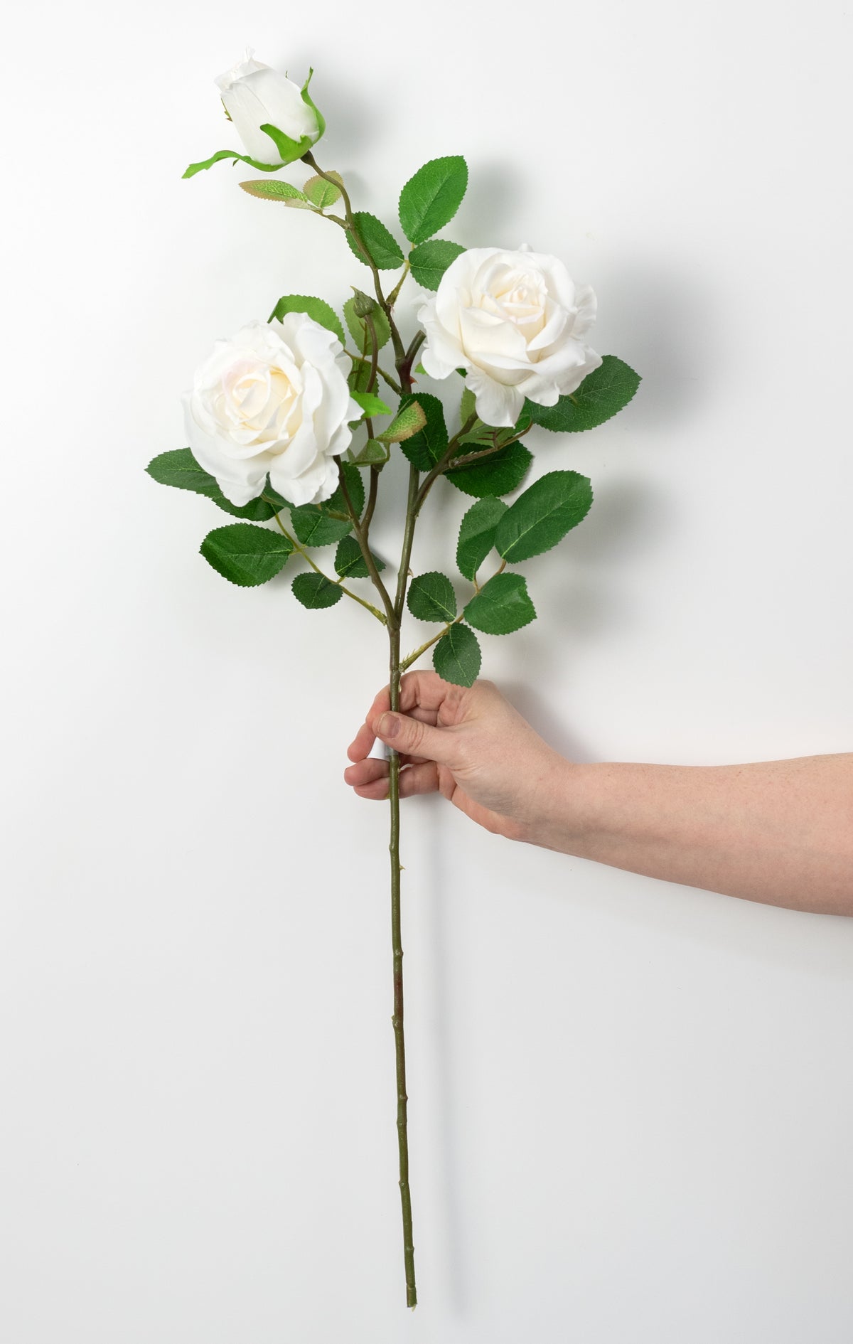 30" Roses Bud, Blooms & Leaves Spray: Cream