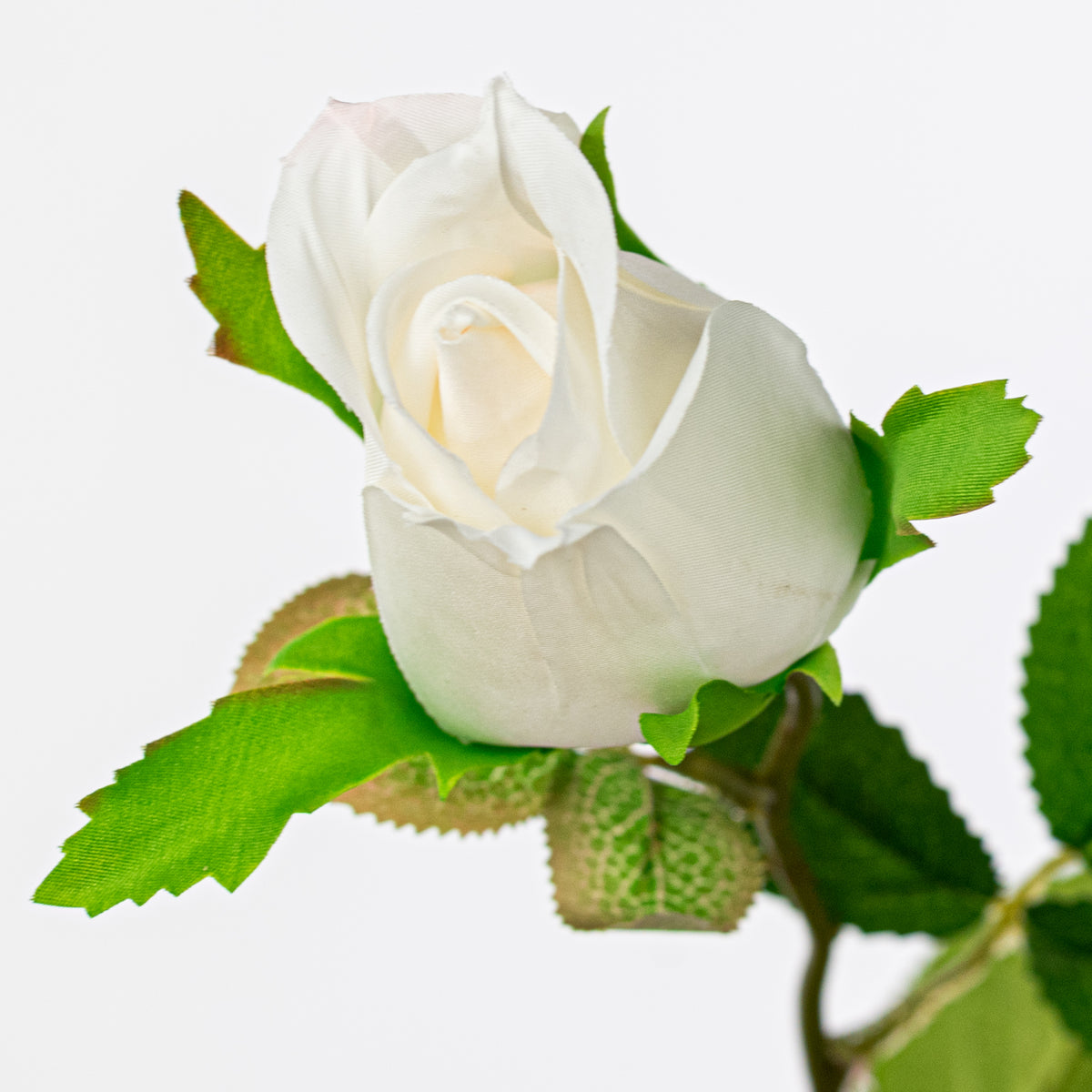 30" Roses Bud, Blooms & Leaves Spray: Cream