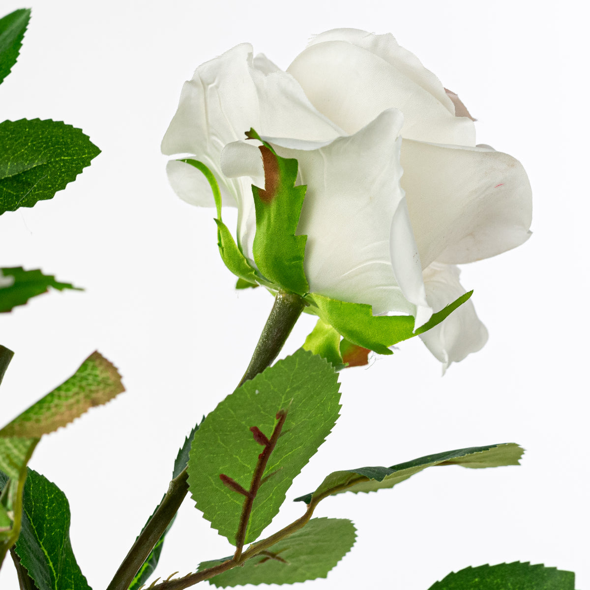 30" Roses Bud, Blooms & Leaves Spray: Cream