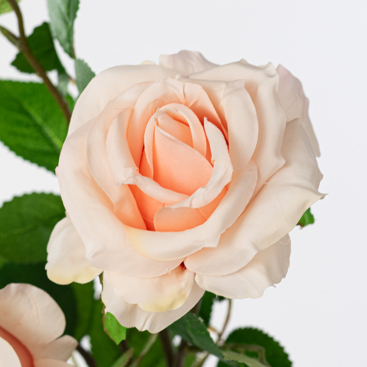 30" Roses Bud, Blooms & Leaves Spray: Blush Pink
