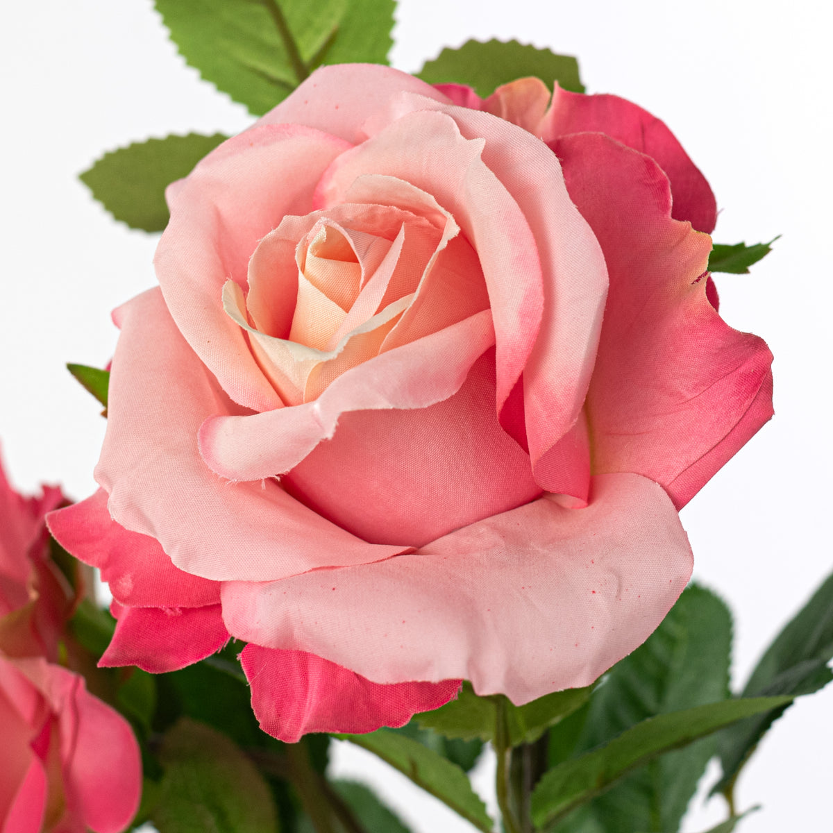 30" Roses Bud, Blooms & Leaves Spray: Pink
